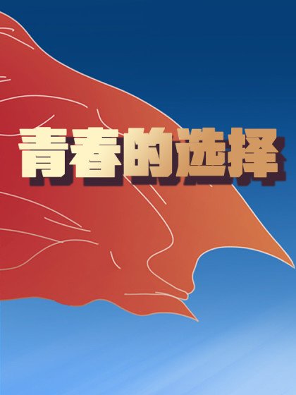 青春的选择封面